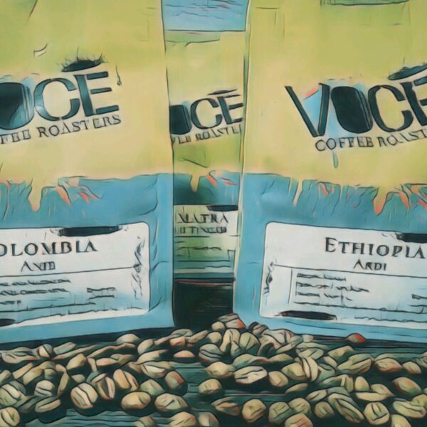 Three bags of coffee to show variety of your subscription, with whole beans scattered in front of the bags